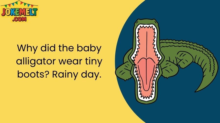 Alligator Jokes