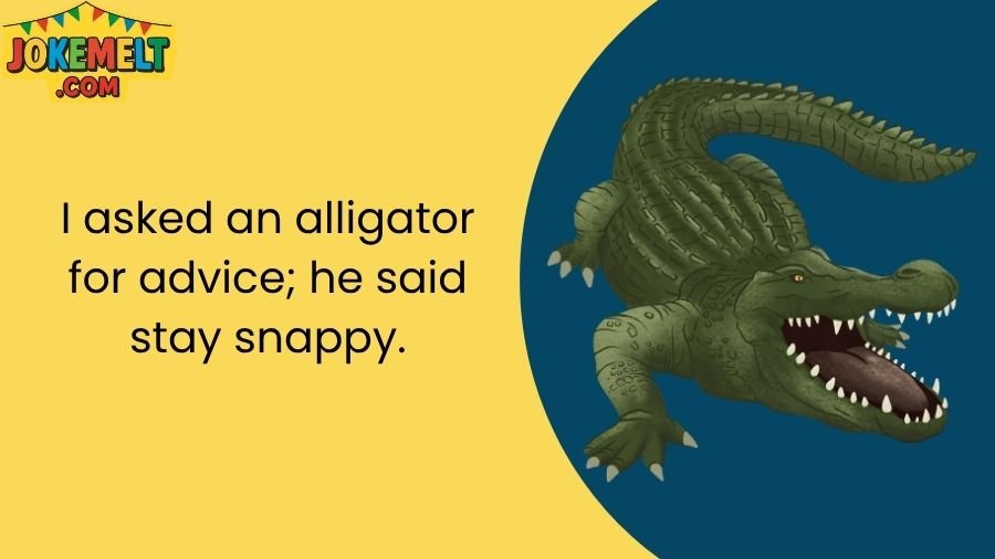 Alligator Jokes
