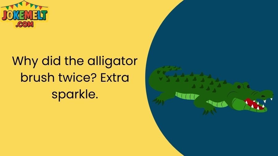 Alligator Jokes