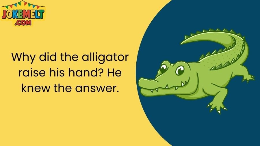 Alligator Jokes