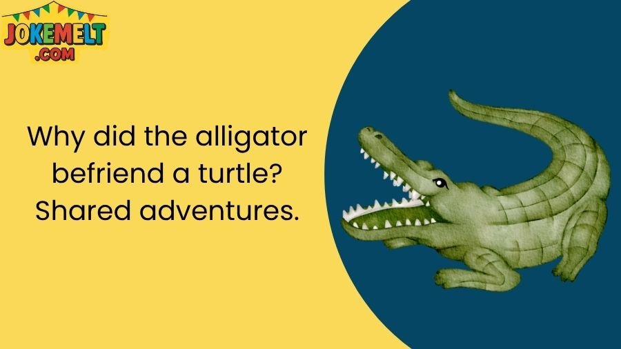 Alligator Jokes