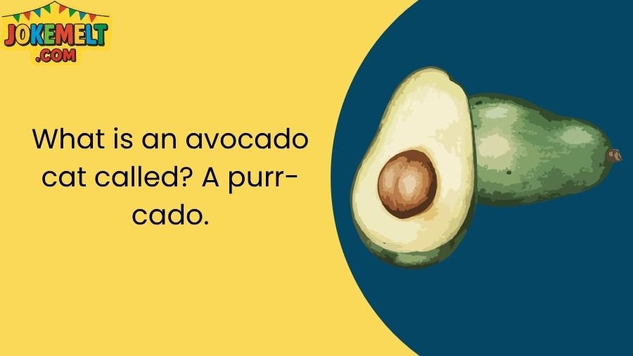 Avocado Jokes