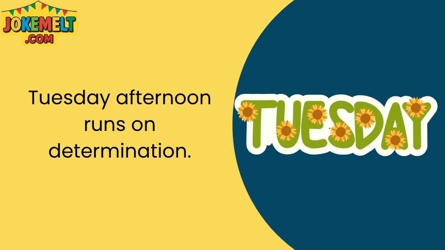 Tuesday Jokes