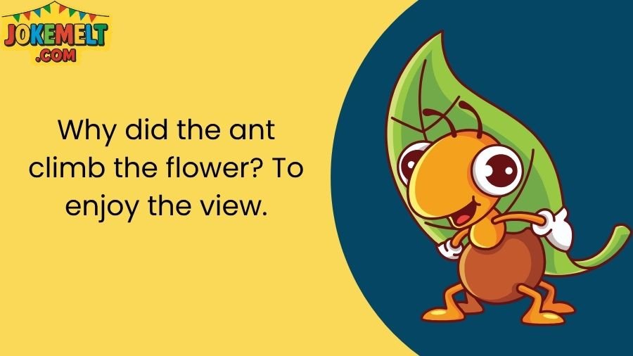 ant jokes