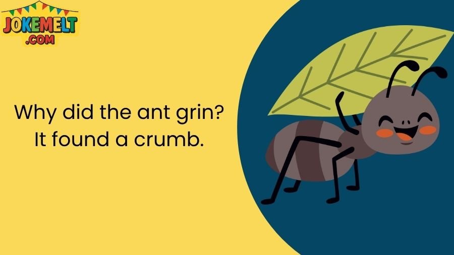 ant jokes
