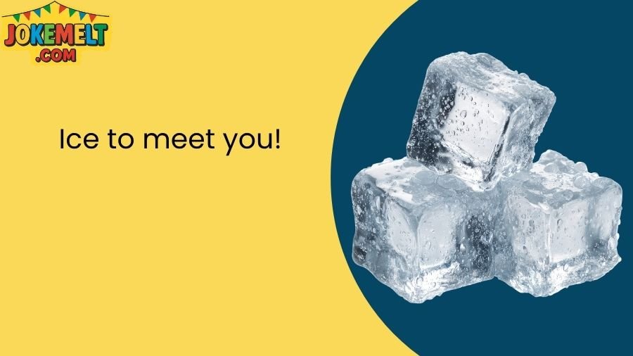 ice jokes