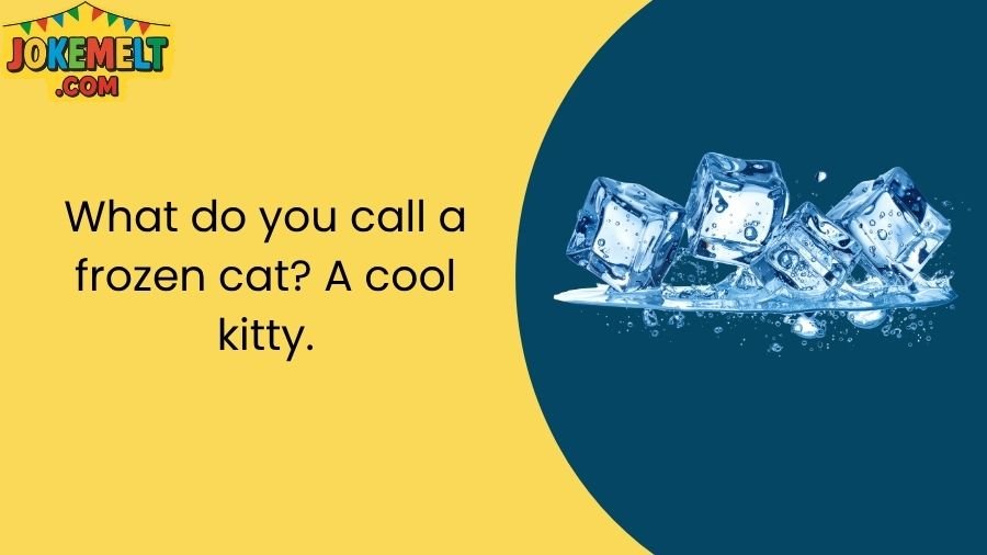 ice jokes