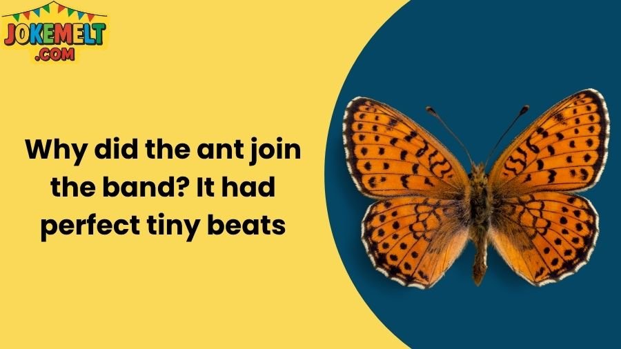 insect jokes