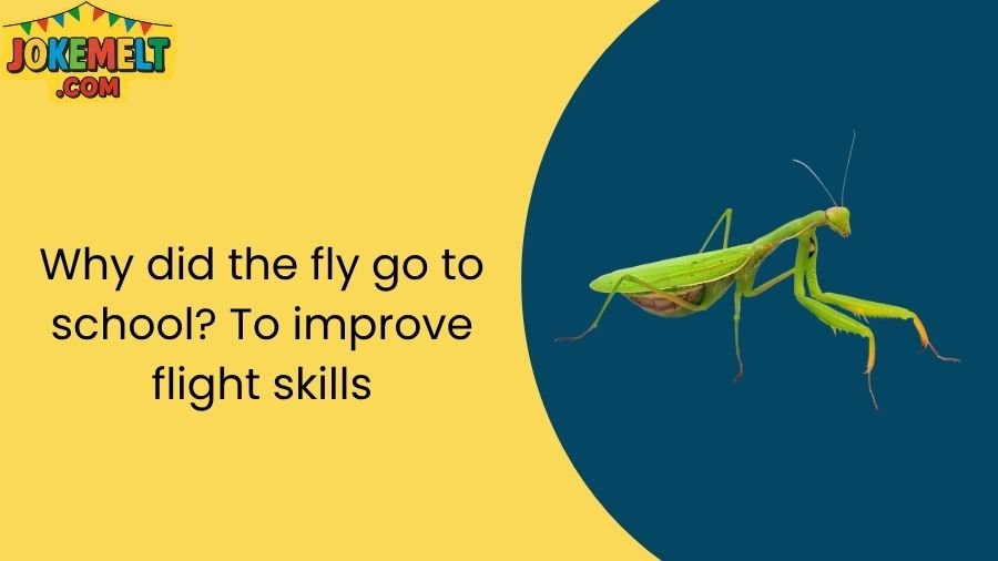 insect jokes