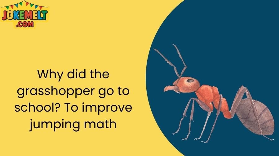 insect jokes