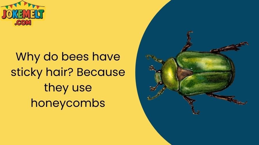 insect jokes