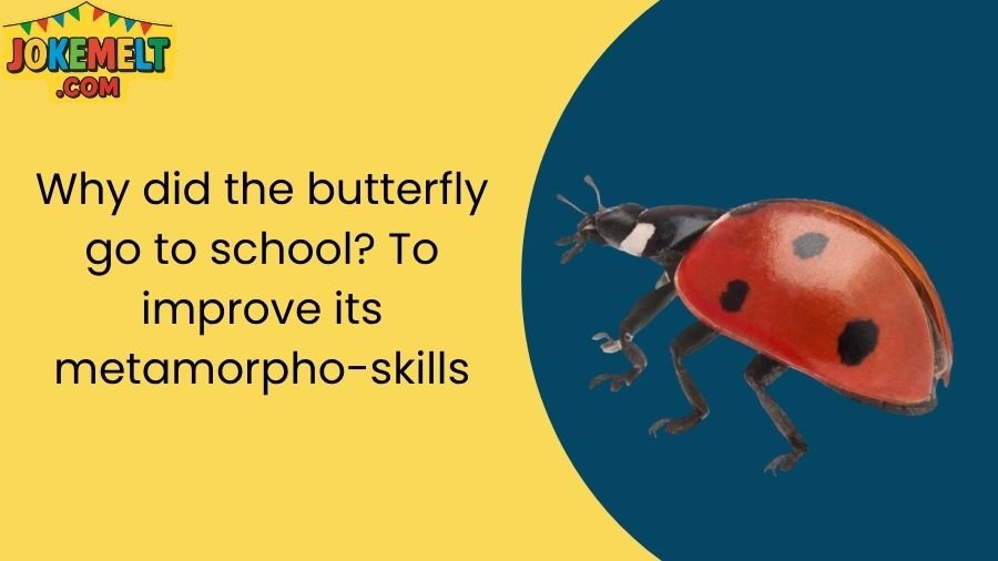 insect jokes