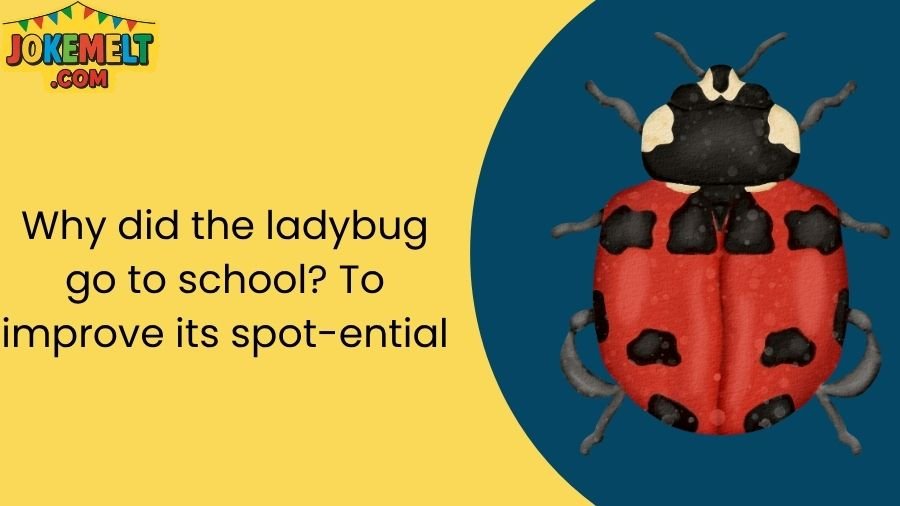 insect jokes