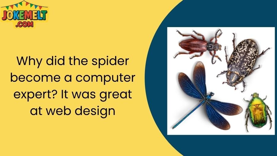 insect jokes
