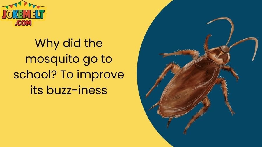 insect jokes