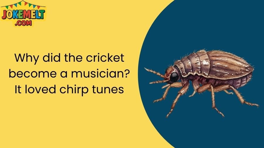 insect jokes