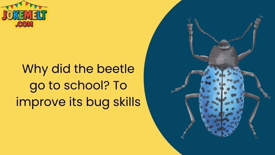 insect jokes