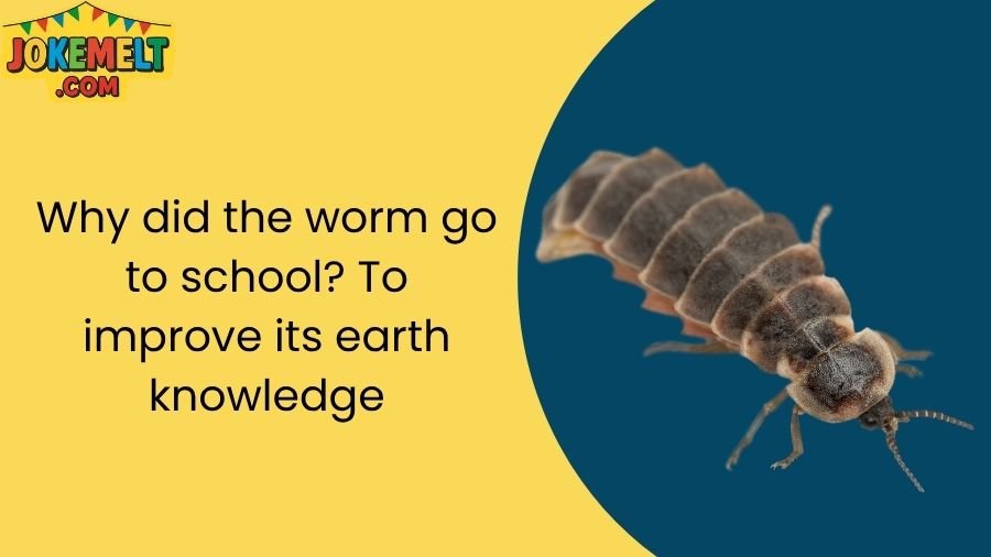 insect jokes