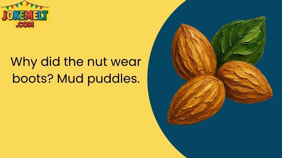 nut jokes