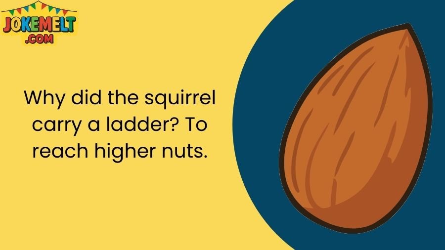 nut jokes
