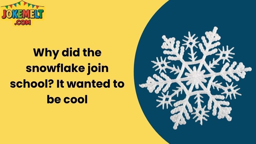 snowflake jokes