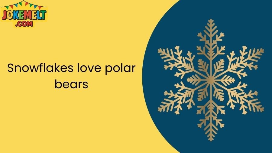 snowflake jokes