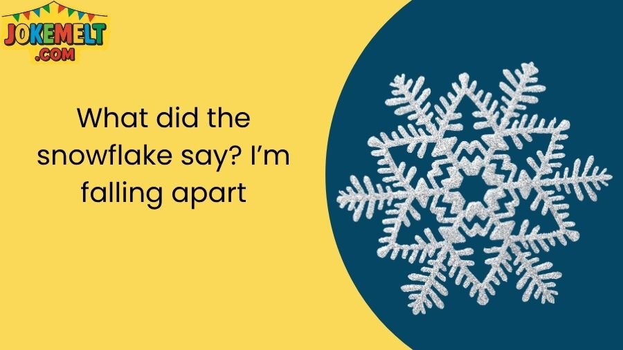 snowflake jokes