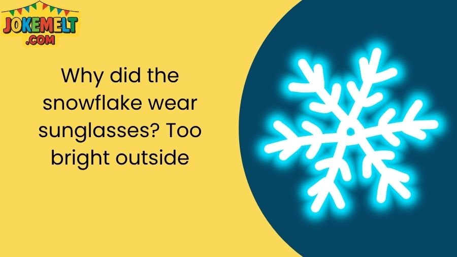 snowflake jokes