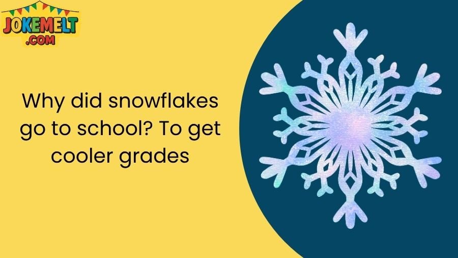 snowflake jokes