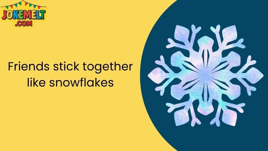 snowflake jokes