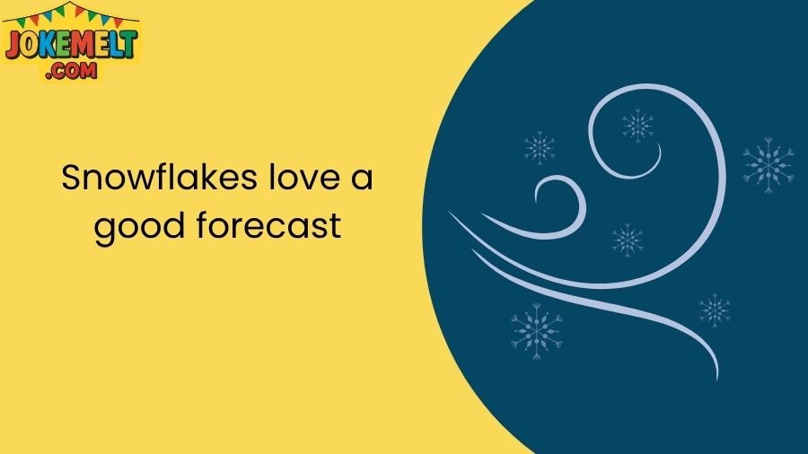 snowflake jokes
