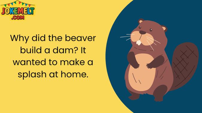 Beaver Jokes