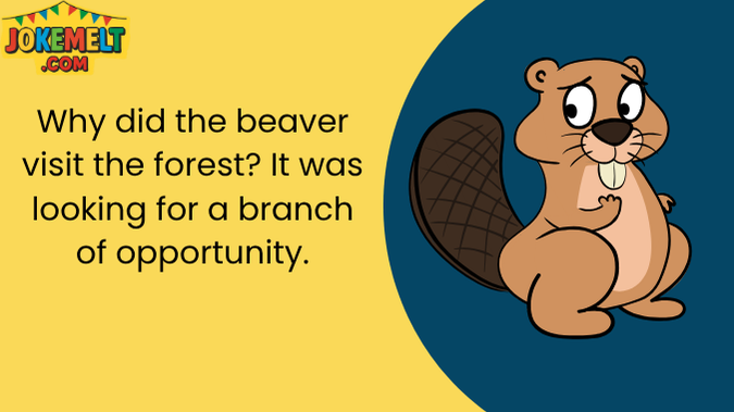 Beaver Jokes
