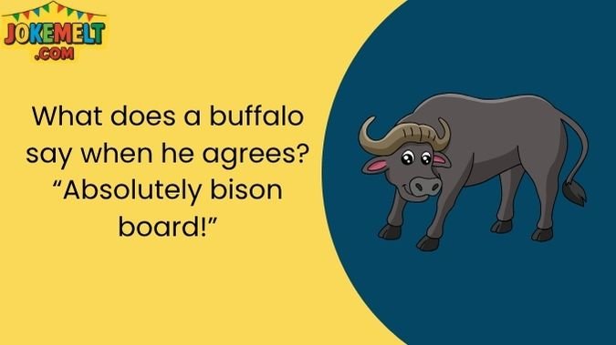 Buffalo Jokes