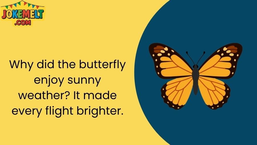 Butterfly Jokes