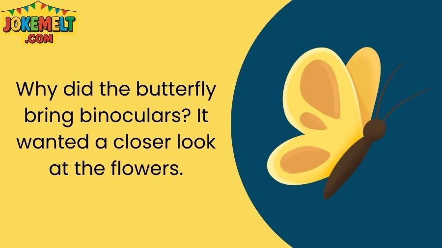 Butterfly Jokes