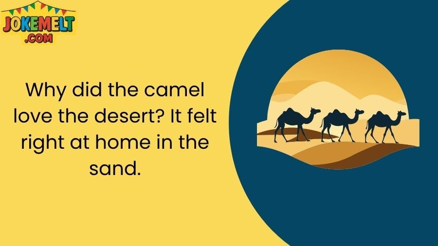 Camel Jokes