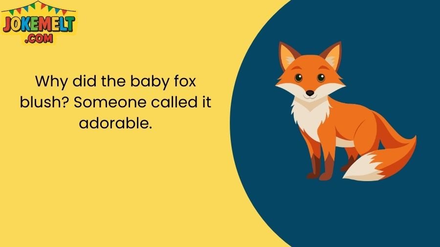 Fox Jokes