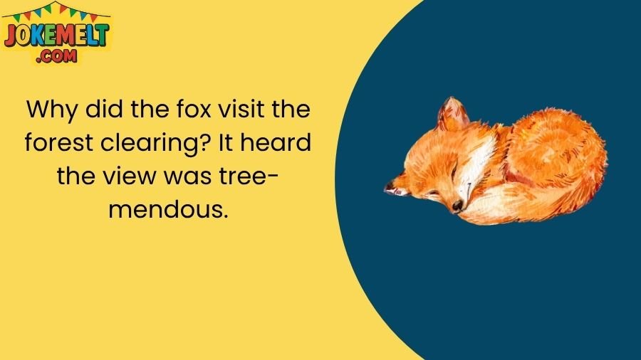 Fox Jokes