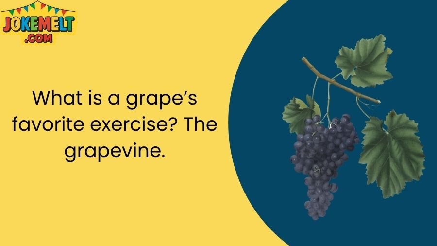 Grape Jokes