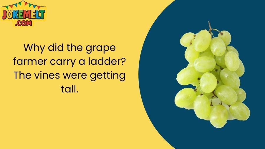 Grape Jokes