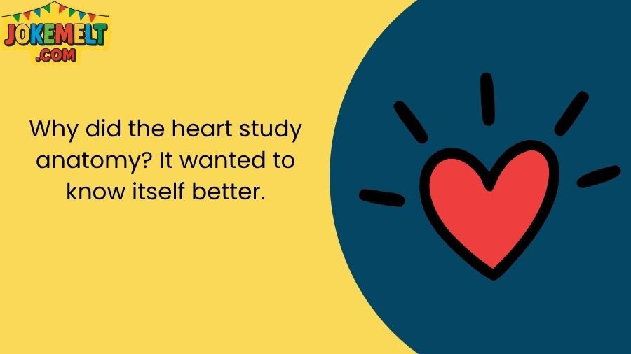 Heart Jokes