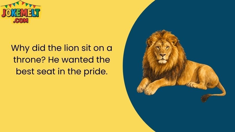 Lion Jokes
