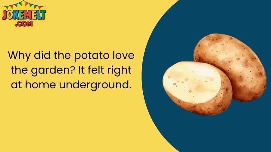 Potato Jokes