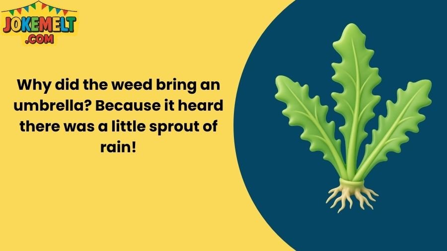 Weed Jokes