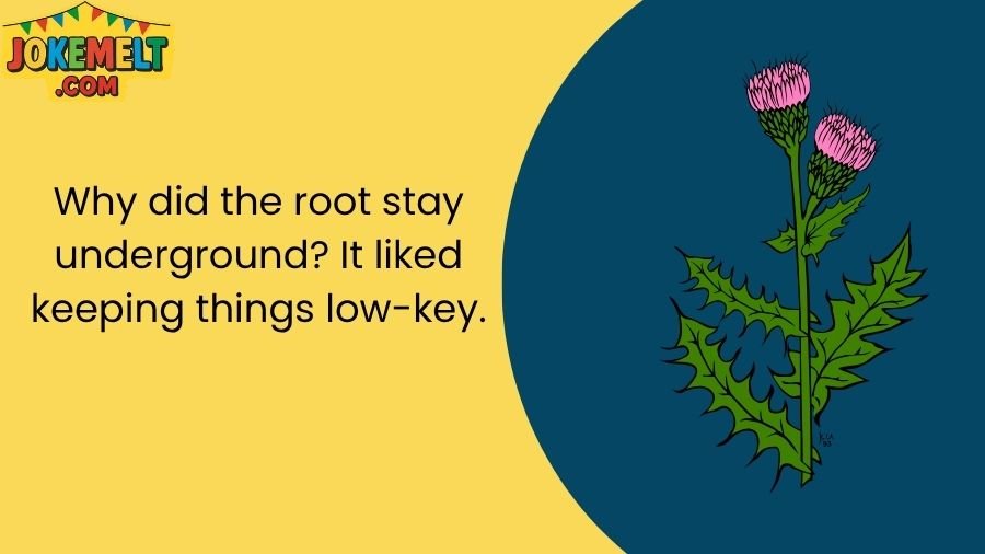 Weed Jokes