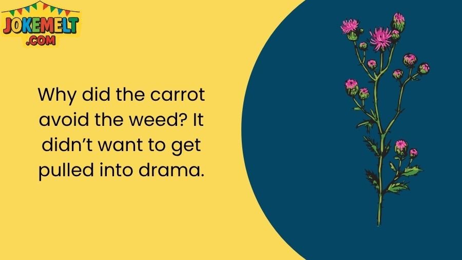 Weed Jokes