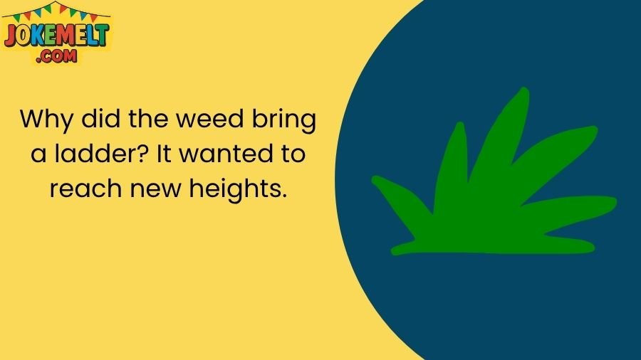 Weed Jokes