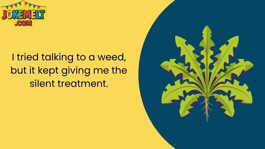 Weed Jokes