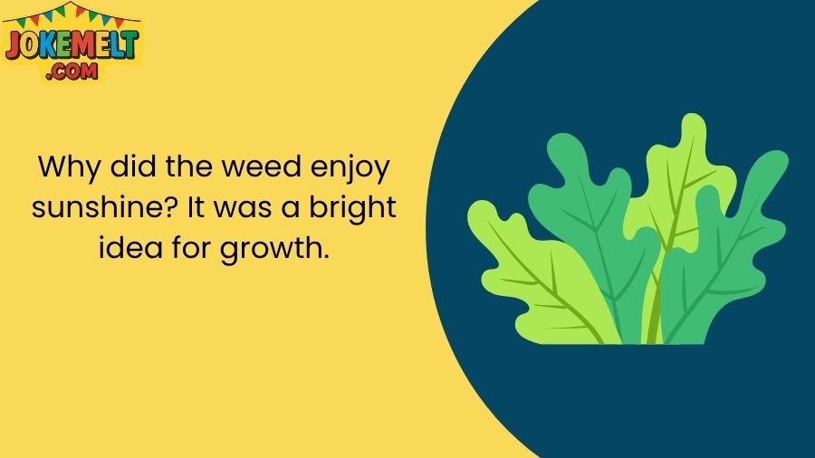 Weed Jokes